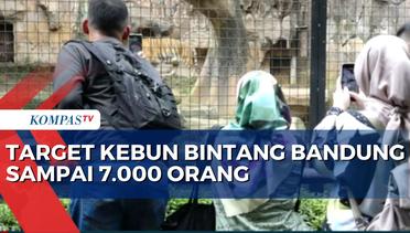 Kebun Binatang Bandung Jadi Pilihan Wisata Long Weekend, Targetkan 7 Ribu Pengunjung