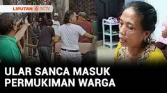 Heboh! Warga dan Petugas Damkar Tangkap Ular Sanca Sepanjang 5 Meter | Liputan 6
