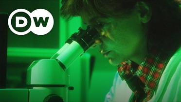 Now You Know - Kenapa para ilmuwan mereplikasi fotosintesis di laboratorium?