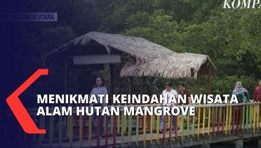 Hutan Mangrove di Desa Budo Jadi Lokasi Favorit Wisata Warga Minahasa