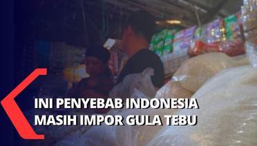 Masih Banyak Pekerjaan Rumah, Kapan Indonesia Berhenti Impor Gula Tebu ?
