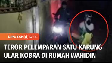 Rumah Mantan Gubernur Banten, Wahidin Halim Dilempari Satu Karung Ular Kobra | Liputan 6