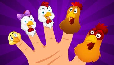 The Finger Family Song | Nursery Rhymes & Kids Songs| Hahatoons Songs For Children