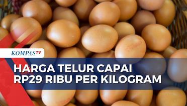 Harga Telur di Kota Malang Tembus Rp29 Ribu per Kilogram, Penjualan Lesu