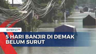 Update Banjir Demak Hari Kelima: Ketinggian Air Capai 2 Meter!