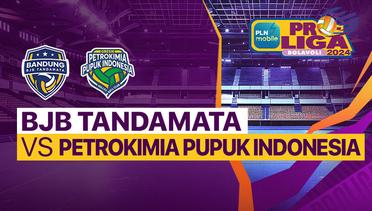 Putri: Bandung BJB Tandamata vs Gresik Petrokimia Pupuk Indonesia - PLN Mobile Proliga 2024