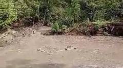 Banjir Lahar Dingin Gunung Lewotobi Terjang Permukiman, Warga Mengungsi ke Hutan