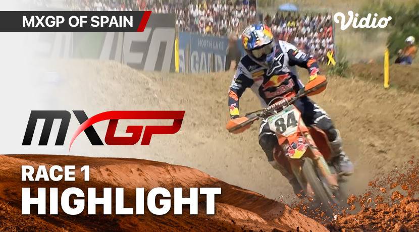 2009 FIM Motocross World Championship