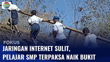 Jaringan Internet Terbatas, Puluhan Pelajar SMP di Kabupaten Sikka Terpaksa Naik Bukit | Fokus