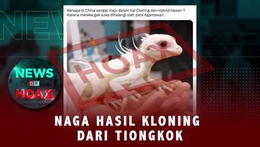Kloning Naga Dari Tiongkok | NEWS OR HOAX
