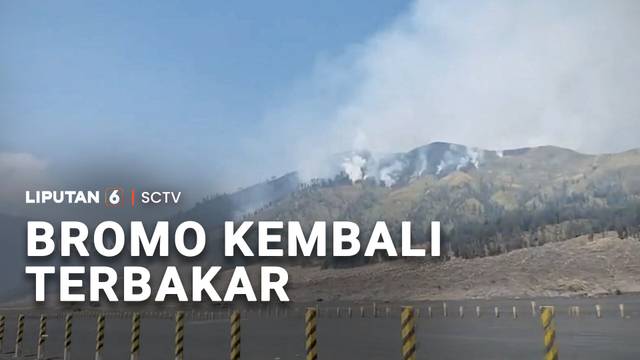 Bromo Kembali Terbakar | Liputan 6