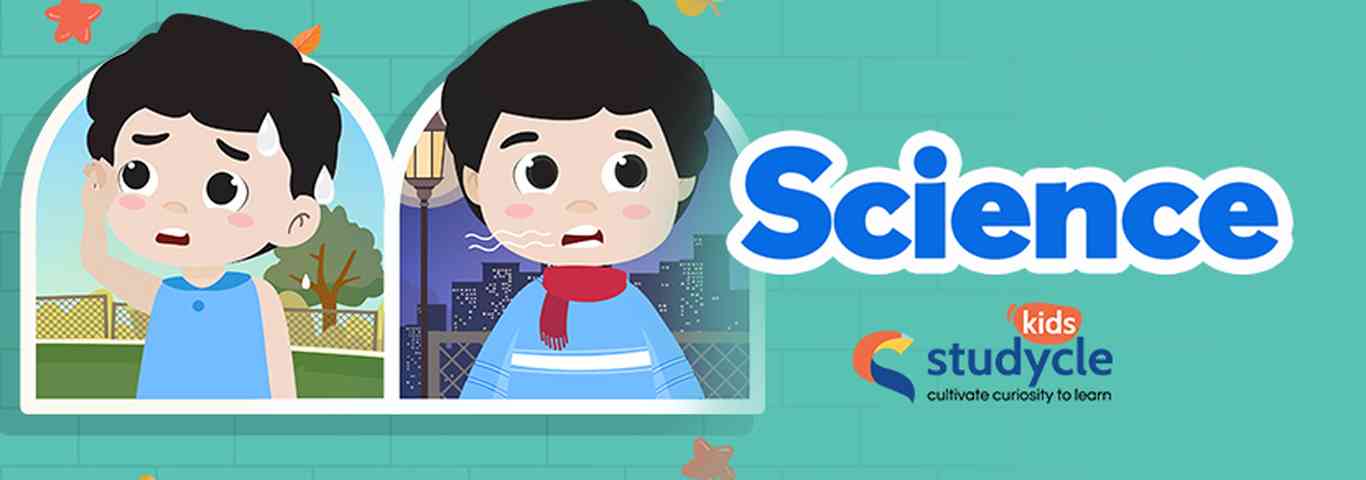 Studycle Kids - Science