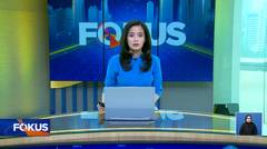 Fokus 29/12/24