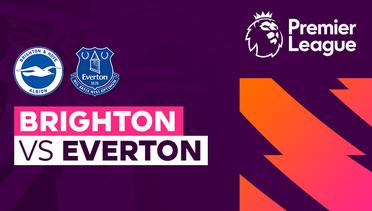 Brighton vs Everton - Full Match | Premier League 23/24