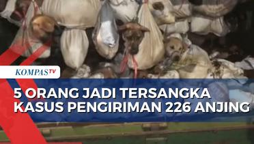 Polisi Bentuk Tim Selidiki Kasus Pengiriman 226 Anjing untuk Konsumsi
