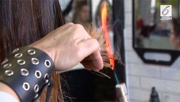 Aksi Penata Rambut Spanyol Gunakan Cakar Besi
