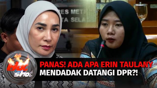 Fakta-Fakta Erin Datangi DPR Terkait Kasus Dugaan Mantan ART  Hot Shot