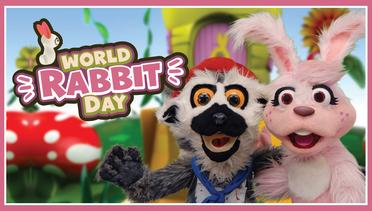 World Rabbit Day - ZooMoo