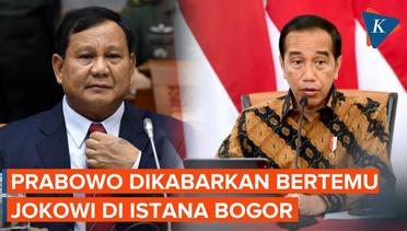 Kata Istana soal Pertemuan Jokowi dan Prabowo