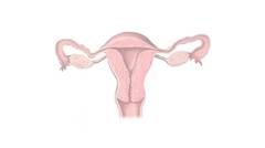Sperma Dalam Saluran Reproduksi Wanita
