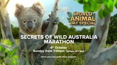 Secrets of Wild Australia Marathon - Love Nature