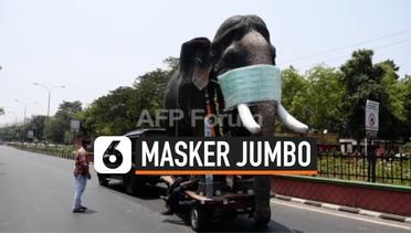 Waspada Covid-19, Patung Gajah India Pakai Masker Jumbo