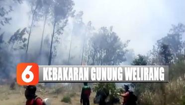 Ratusan Hektare Gunung Welirang Terbakar Diduga Akibat Ulah Pemburu Liar - Liputan 6 Terkini