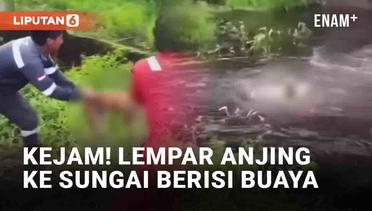 Tuai Kecaman Warganet! Dua Pekerja Lempar Anjing ke Sungai Hingga Diterkam Buaya