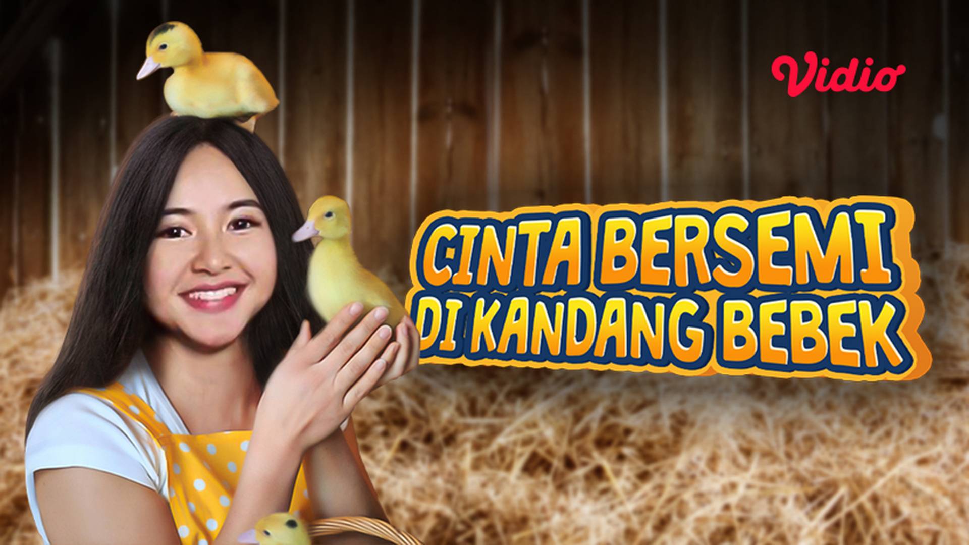 Cinta Bersemi di Kandang Bebek