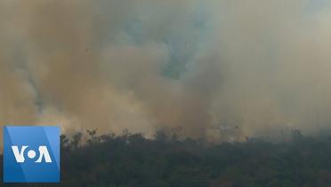 Brazil Wildfire- Fires Continue to Rage in Brazil's Amazon Rainforest