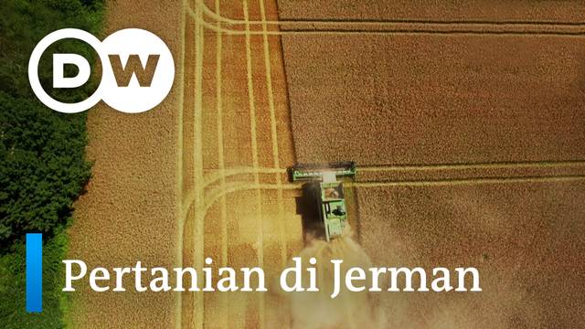 DW BirdsEye -  Pertanian di Jerman- Produsen sereal
