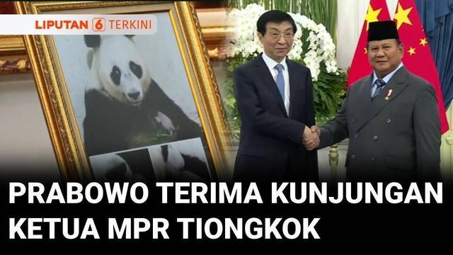 Terima Ketua MPR Tiongkok, Prabowo Tunjukkan Foto 'Satrio' Bayi Panda Lahir di Indonesia | Liputan 6