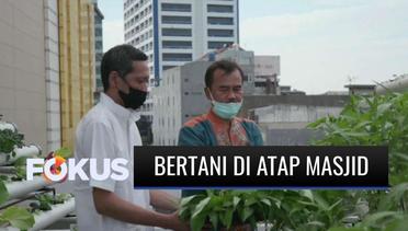 Berani Berubah: Bertani di Atap Masjid | Fokus