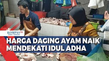 Harga Daging Ayam Naik Mendekati Idul Adha