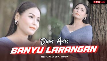 Dian Anic - Banyu Larangan (Official Music Video)