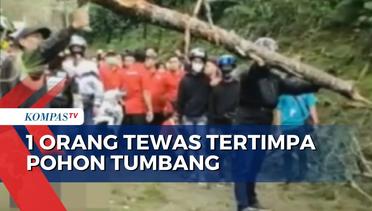 Diduga Karena Angin Kencang, 1 Orang Tewas Tertimpa Pohon Tumbang di Lembang