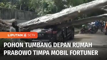 Pohon di Dekat Rumah Prabowo Tumbang, Timpa Mobil Fortuner hingga Ringsek | Liputan 6