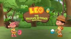 Leo, The Wildlife Ranger - ZooMoo