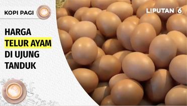 Harga Telur di Ujung Tanduk, Mensos Bantah Bansos Jadi Penyebab Kenaikan | Kopi Pagi Liputan 6