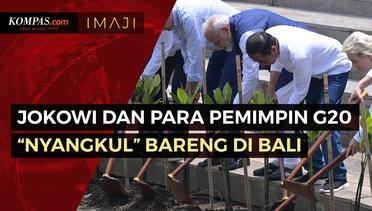 Saat Jokowi dan Para Pemimpin G20 Nyangkul Bareng di Taman Mangrove Bali