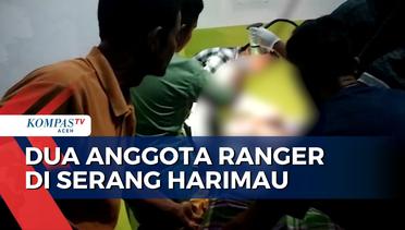 Dua Anggota Ranger Terluka di Serang Harimau