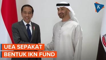 Usai Temui Jokowi, UEA Ingin Investasi di IKN Nusantara