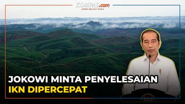 Jokowi Minta Penyelesaian Lahan IKN Nusantara Dipercepat