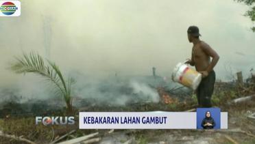 Kebakaran Laham Gambut di Palangkaraya, Petugas Terkendala Jarak Tempuh - Fokus