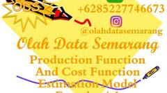 Production Function And Cost Function Estimation Model Frontier 4.1