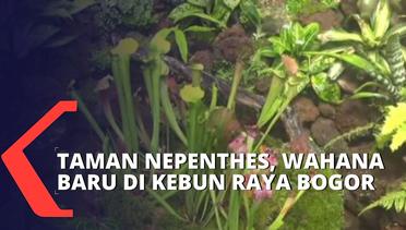 Kebun Raya Bogor Buka Wahana Edukasi Taman Nepenthes