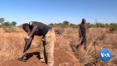 Desperate Zimbabweans Risk Death in Disused, Unlicensed Mines