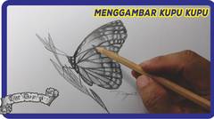 Terbaru!!! Cara menggambar Kupu-kupu dengan pensil sangat mudah