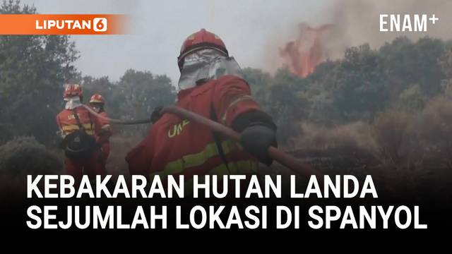 Kebakaran Hutan Meluas di Spanyol, Ribuan Warga Diminta Evakuasi