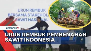 Menilik Program Paslon Anies-Muhaimin dalam Optimalisasi Industri Sawit Indonesia